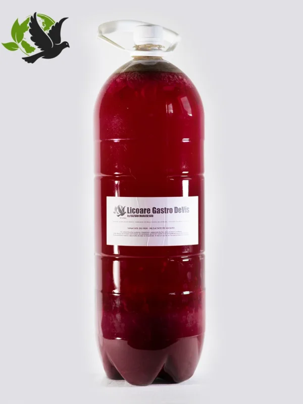 Licoare Gastro DeVis - 3 Litri Licoare Gastro DeVis - 3 Litri