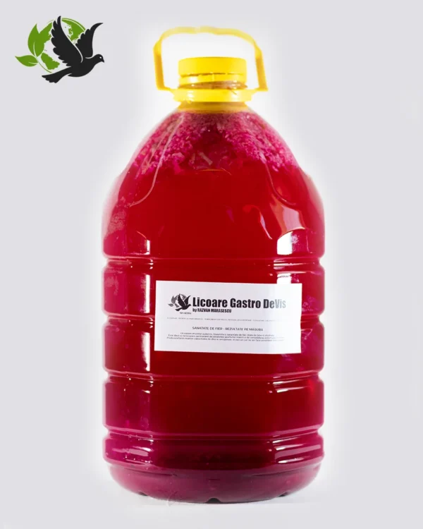 Licoare Gastro DeVis - 5 Litri Licoare Gastro DeVis - 5 Litri