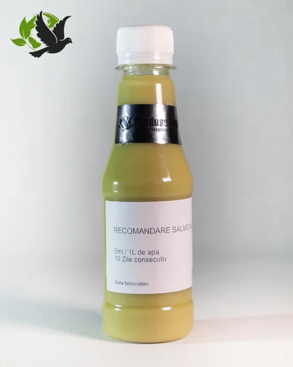 Salmo - Detox DeVis
